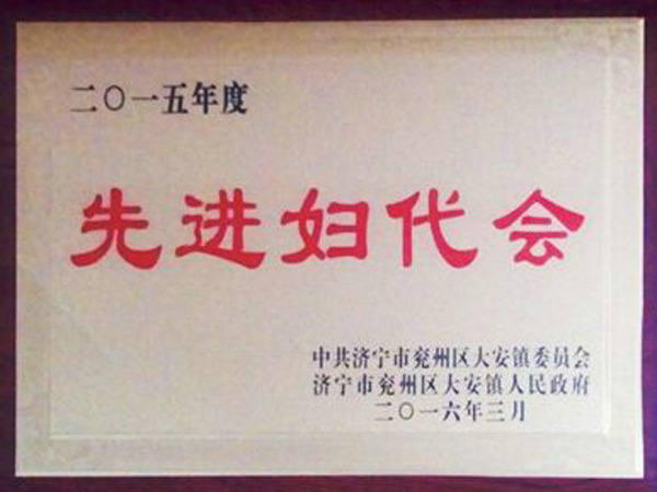 先进妇代会.jpg