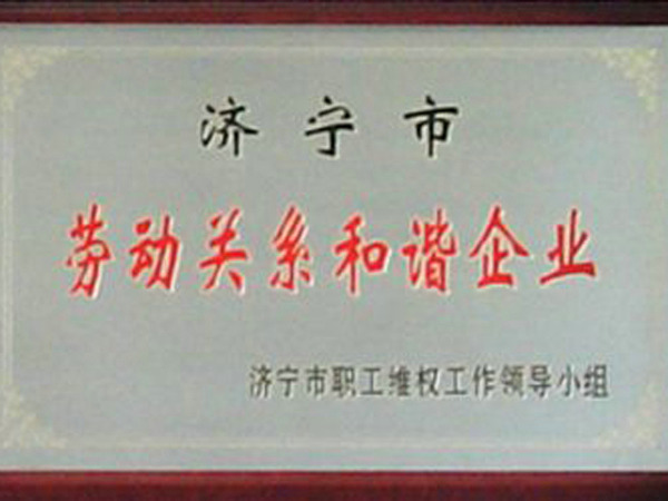 市级劳动关系和谐企业.jpg
