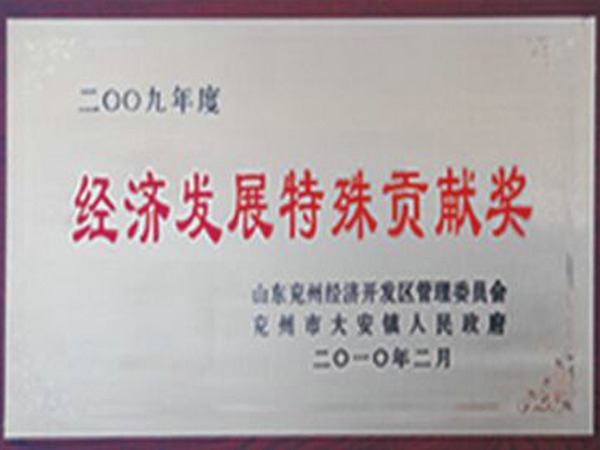 经济发展特殊贡献奖