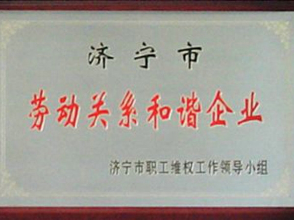 市级劳动关系和谐企业