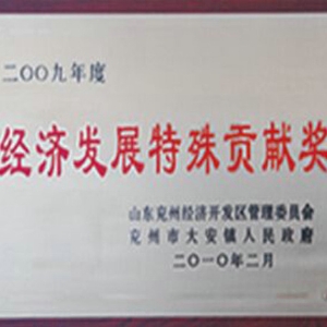 经济发展特殊贡献奖