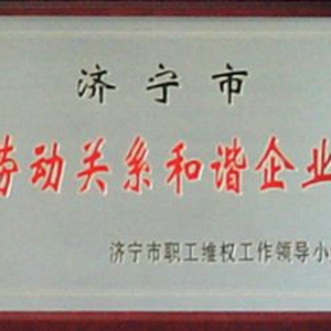 市级劳动关系和谐企业